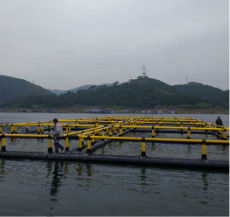 Pisciculture de flottement de cage du diamètre 10-40m DN250-DN400